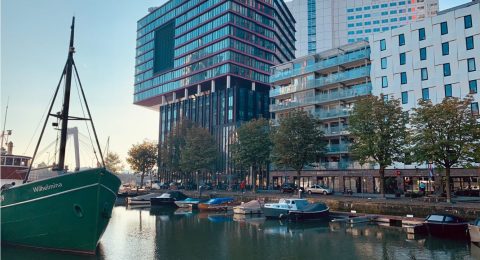 Dockbite Rotterdam